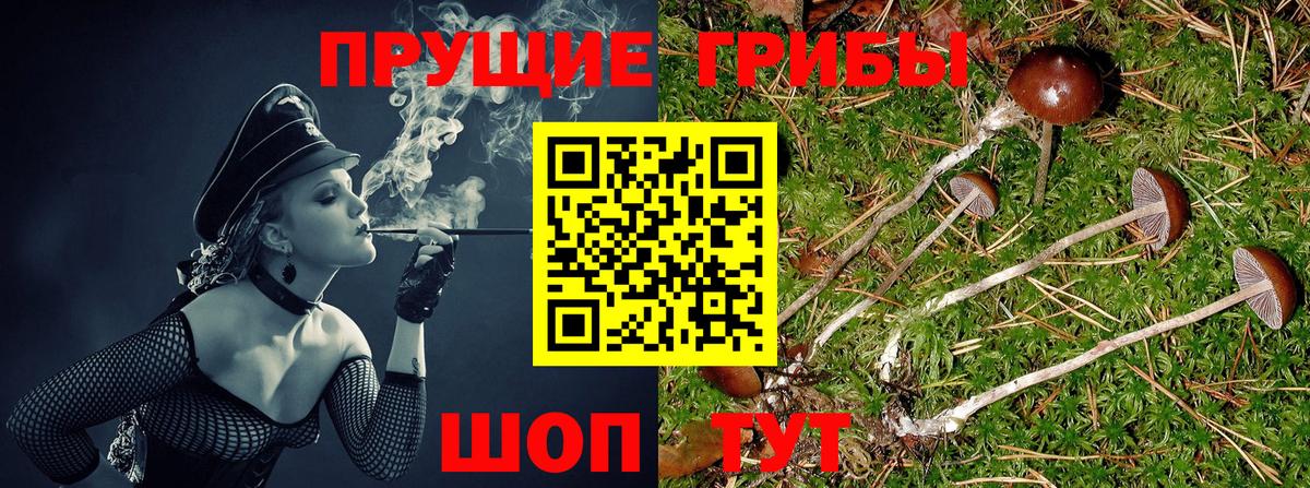 Химки  Псилоцибиновые грибы Magic Shrooms  Вход с VPN  Галлюциногенные грибы Magic Shrooms 